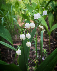 Similar image 21547895