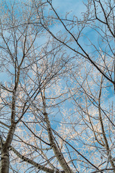 Similar image 21546675