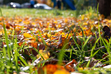 Similar image 21547338