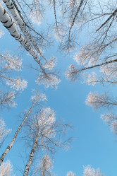 Similar image 21546677