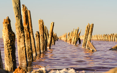 Similar image 21524625