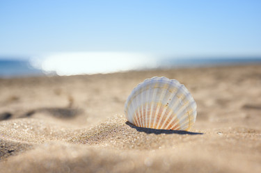 Similar image 21538733