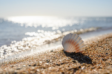 Similar image 21539761