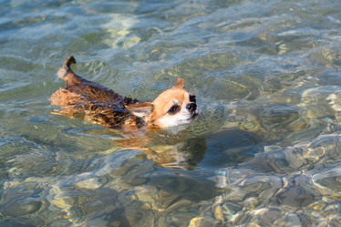 Similar image 21524628