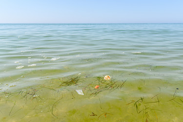 Similar image 21531029