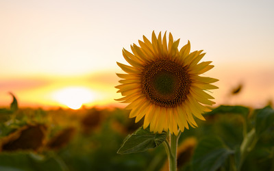 Similar image 21535760