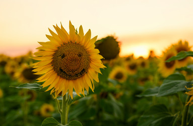 Similar image 21524965