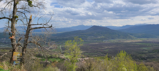 Similar image 21525748