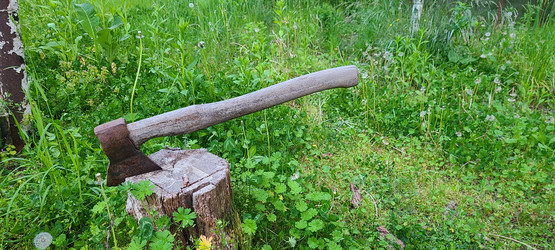 Similar image 21525751