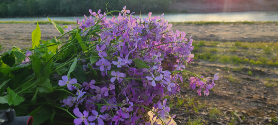 Similar image 21525753