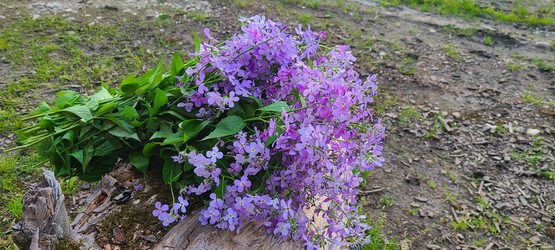 Similar image 21525755