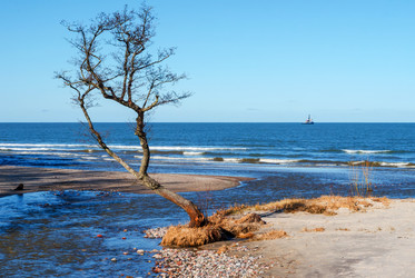 Similar image 21531737