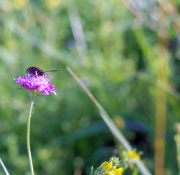 Similar image 21531739