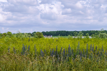 Similar image 21534619