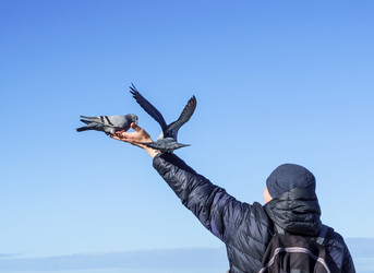 Similar image 21534621