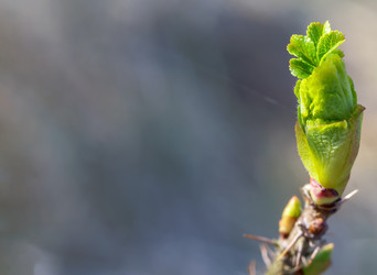 Similar image 21534494