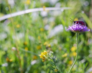 Similar image 21534500