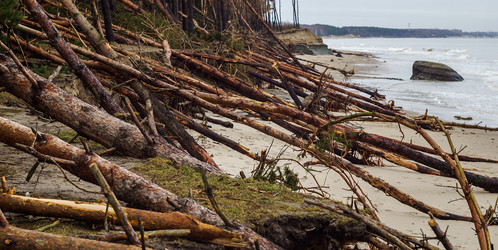 Similar image 21534502