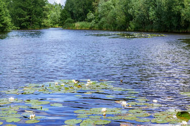 Similar image 21534503