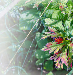 Similar image 21534506