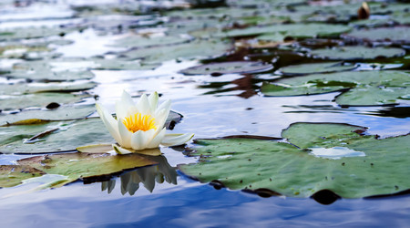 Similar image 21534510