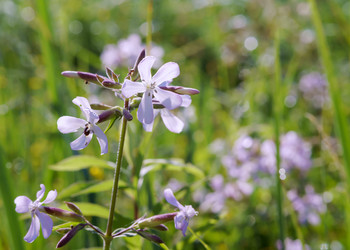 Similar image 21534511