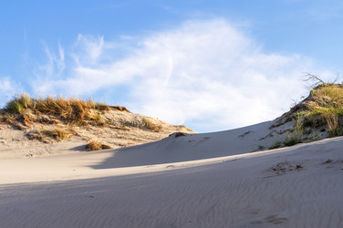 Similar image 21534512