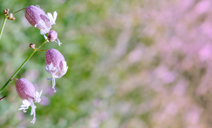 Similar image 21534518