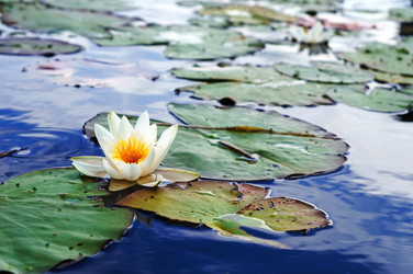 Similar image 21534523