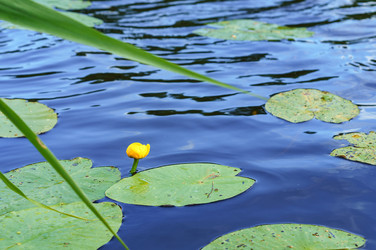 Similar image 21534524