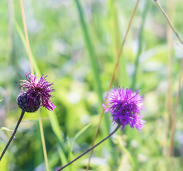 Similar image 21534527