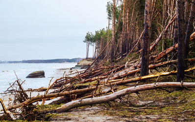 Similar image 21534533