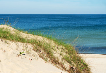 Similar image 21534535