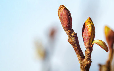 Similar image 21534536