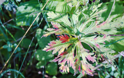 Similar image 21534537