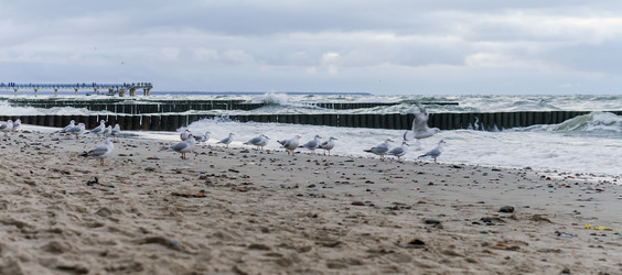 Similar image 21534542