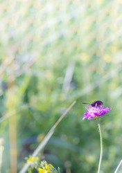 Similar image 21534545