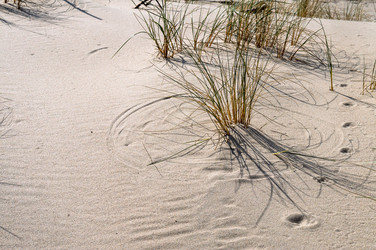 Similar image 21534552