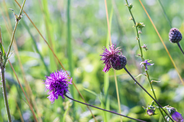 Similar image 21534555