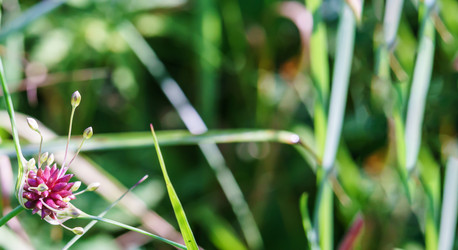 Similar image 21534559