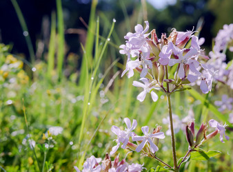 Similar image 21534562