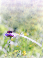 Similar image 21534563