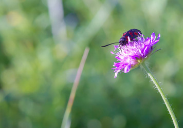 Similar image 21531400