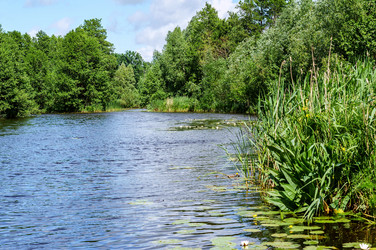 Similar image 21531401