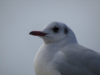 Similar image 21537620