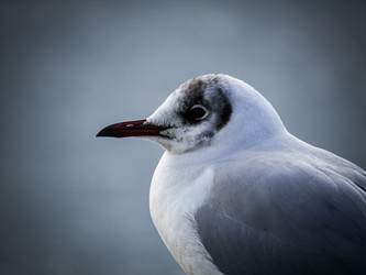 Similar image 21537621