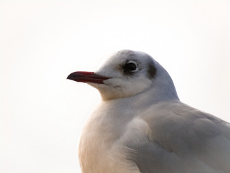 Similar image 21537622