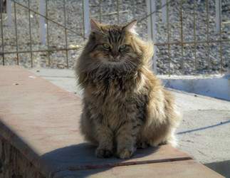 Similar image 21537623