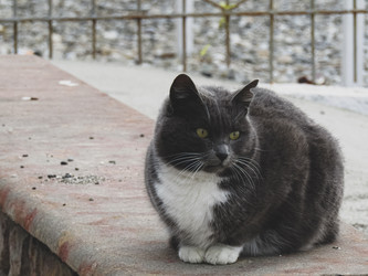 Similar image 21537624