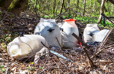 Similar image 21528684